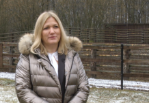 Kolejny park narodowy stawia na instalacje fotowoltaiczne. Inwestycja w Dolinie Biebrzy pozwoli zredukować emisję CO2 o 20 ton rocznie News