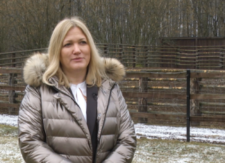 Kolejny park narodowy stawia na instalacje fotowoltaiczne. Inwestycja w Dolinie Biebrzy pozwoli zredukować emisję CO2 o 20 ton rocznie